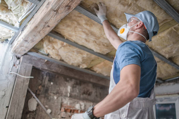 Best Specialized Insulation Services in East Flat Rock, NC