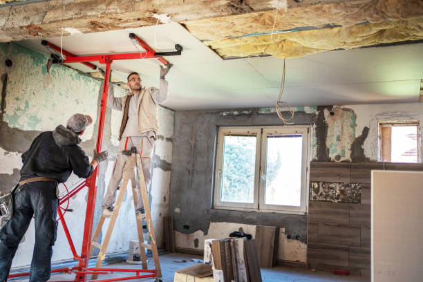 Best Eco-Friendly Insulation in East Flat Rock, NC